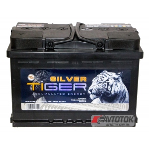 Tiger Silver 98 Аh/12V (1)