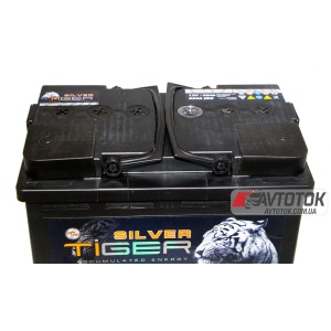 Tiger Silver 88 Аh/12V (1)